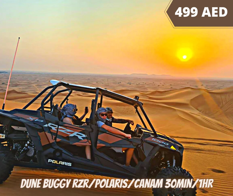 Dune Buggy Polaris