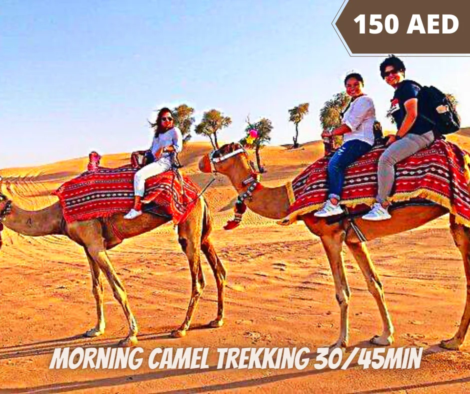 Morning Camel Trekking