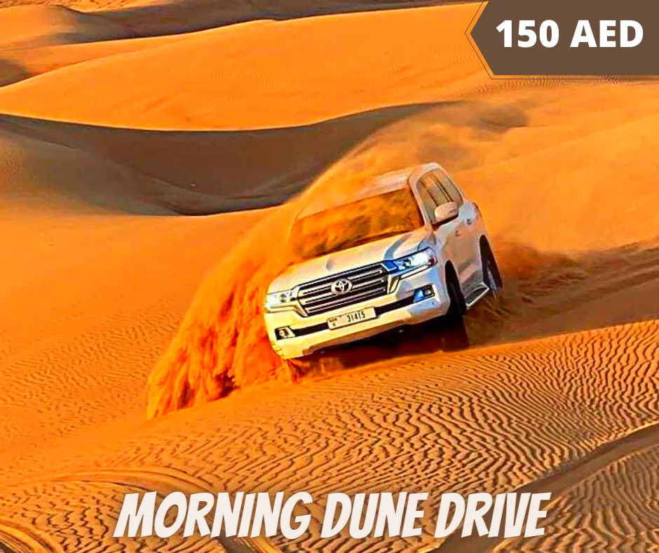 Morning Dune Drive