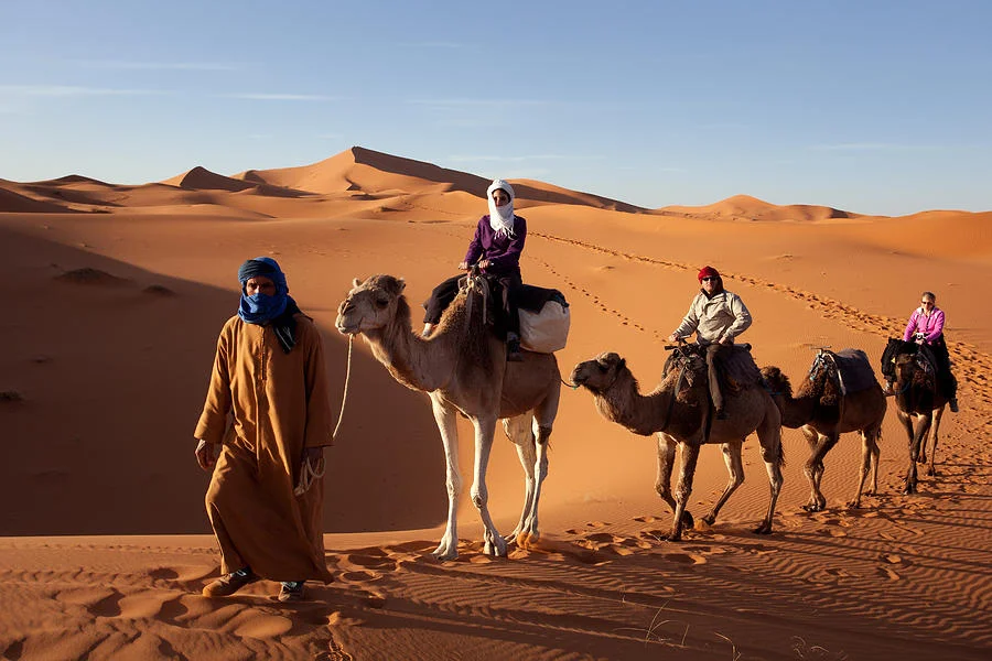 Morning camel trekking